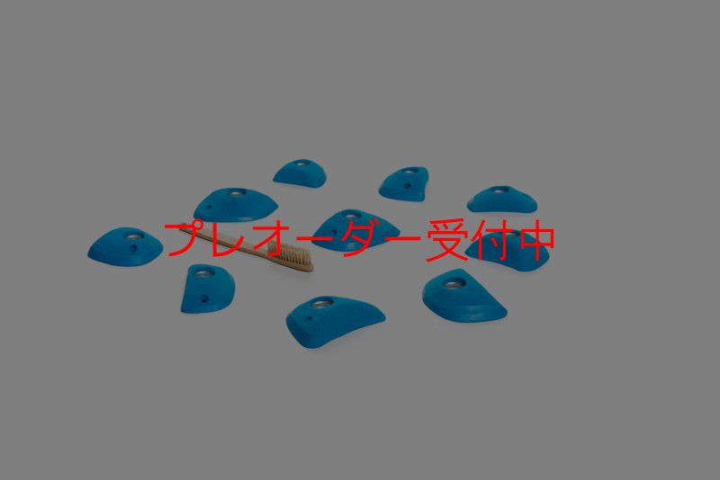 画像4: CT Wings Rokh/プレオーダー (4)