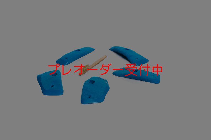 画像3: CT Wings Raptor/プレオーダー (3)