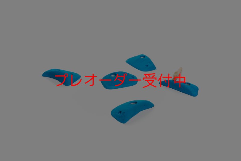 画像4: CT Wings Dedale/プレオーダー (4)
