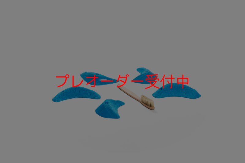 画像1: CT Craters  Bikini/プレオーダー (1)
