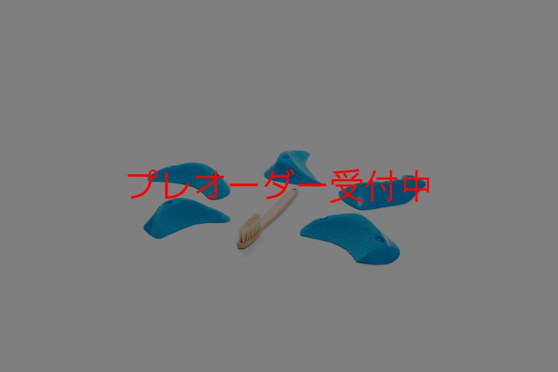 画像2: CT Craters  Bikini/プレオーダー (2)