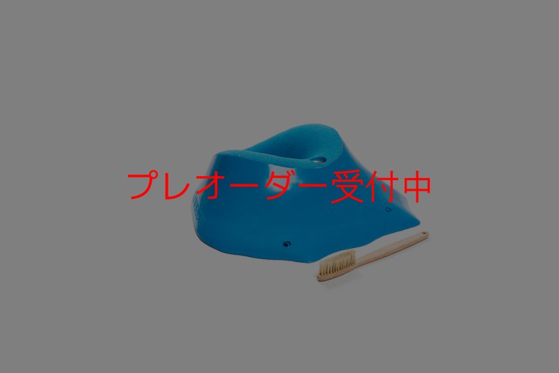 画像2: CT Craters  Albertine/プレオーダー (2)