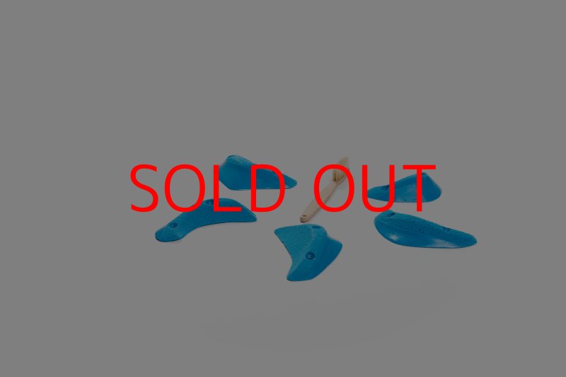 画像4: CT Craters  Bikini (4)