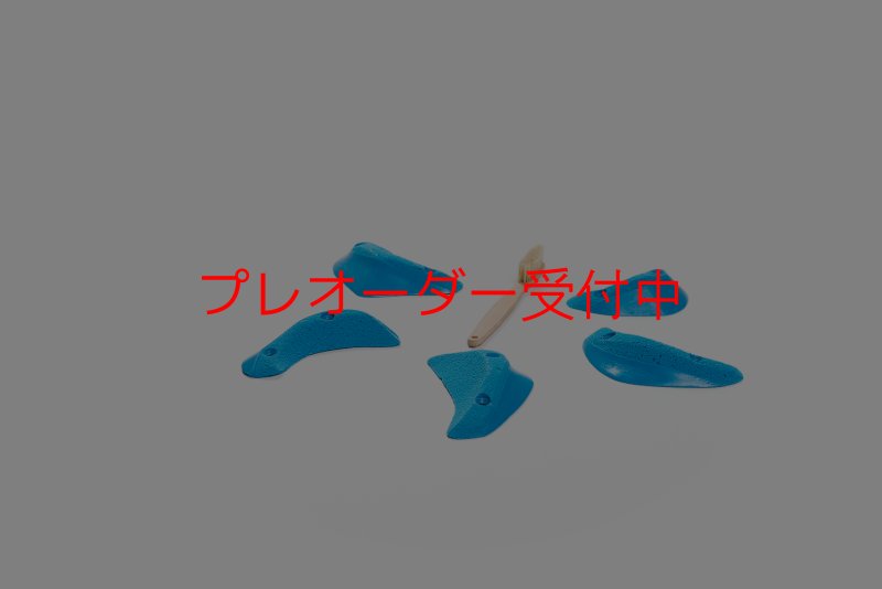 画像4: CT Craters  Bikini/プレオーダー (4)