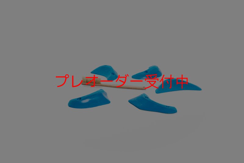 画像3: CT Craters  Bikini/プレオーダー (3)