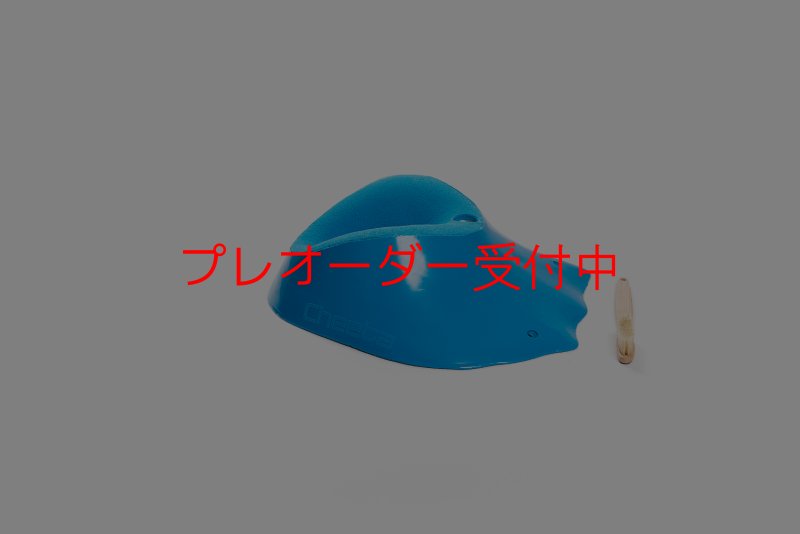 画像1: CT Craters  Albertine/プレオーダー (1)