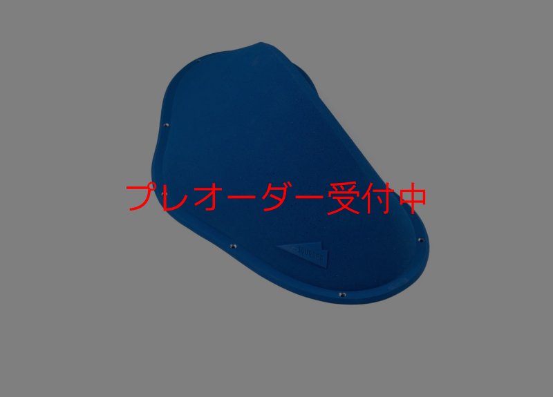 画像4: SQ　フィヒトル　29/プレオーダー (4)