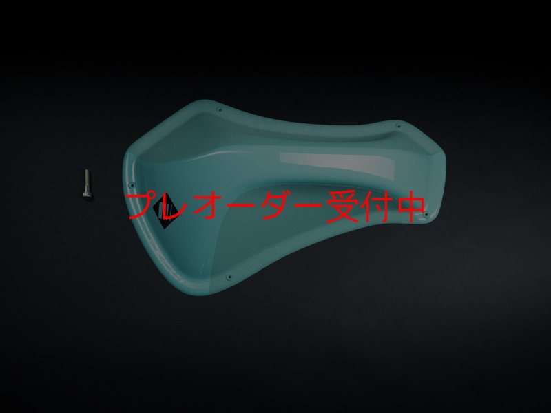 画像1: CP SH-DT PINCH 1/プレオーダー (1)