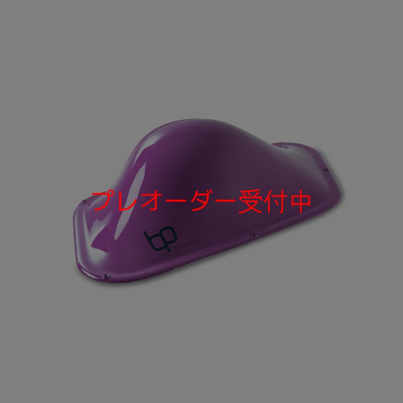 画像3: BP デュアルテクスチャー ファイバーインプレッション21/プレオーダー (3)
