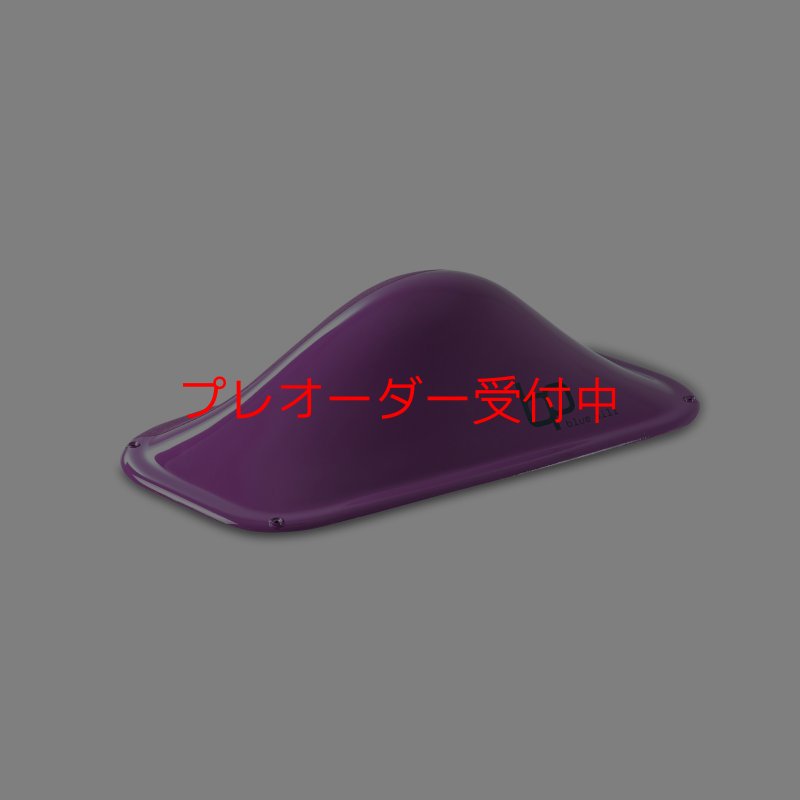 画像2: BP デュアルテクスチャー ファイバーインプレッション20/プレオーダー (2)