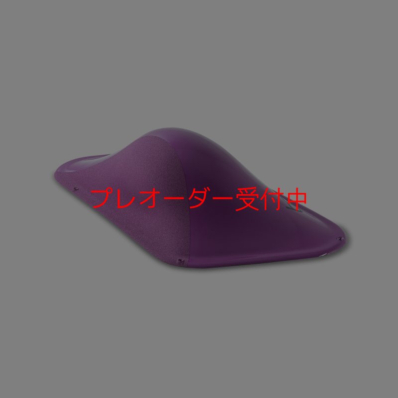 画像2: BP デュアルテクスチャー ファイバーインプレッション21/プレオーダー (2)