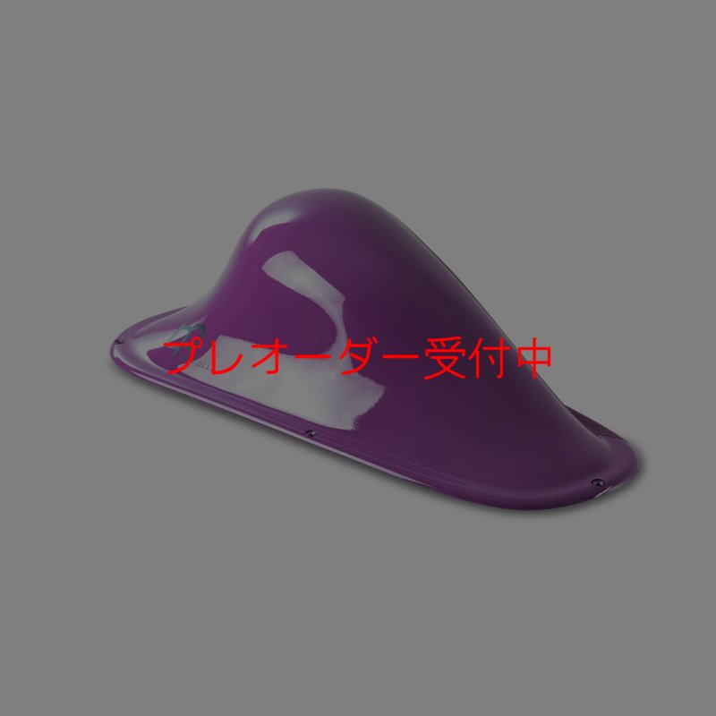 画像3: BP デュアルテクスチャー ファイバーインプレッション17/プレオーダー (3)