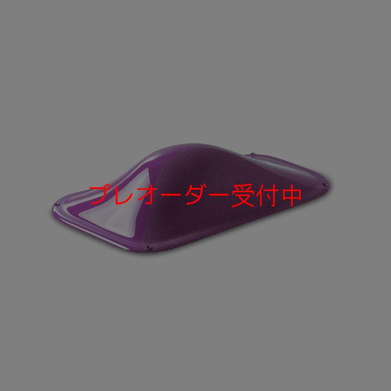 画像2: BP デュアルテクスチャー ファイバーインプレッション19/プレオーダー (2)