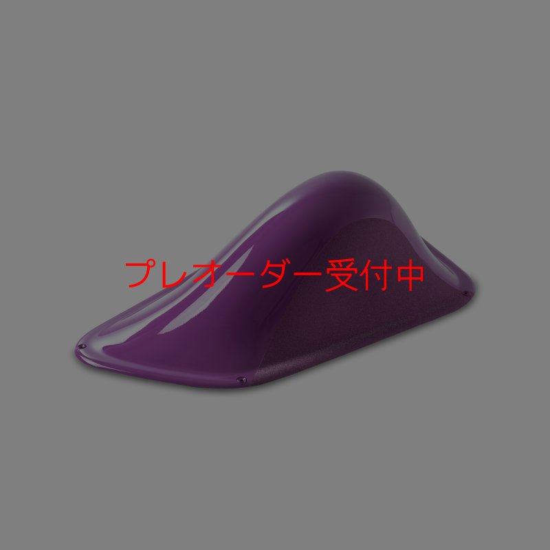 画像2: BP デュアルテクスチャー ファイバーインプレッション22/プレオーダー (2)