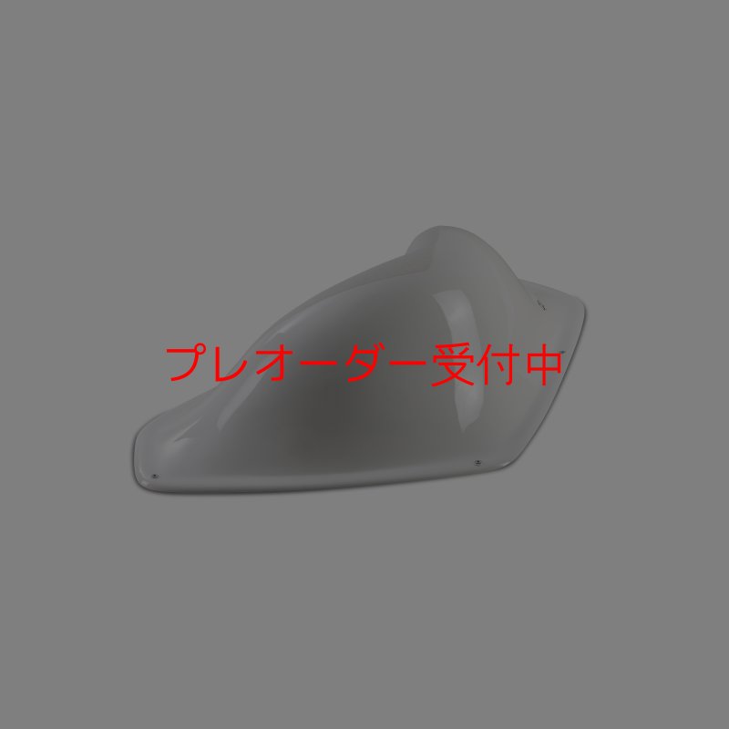 画像2: BP Dope Jug DT 2/プレオーダー (2)