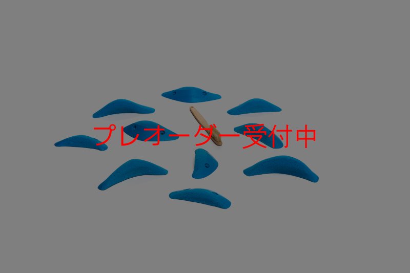 画像7: CT Boomerang Station/プレオーダー (7)