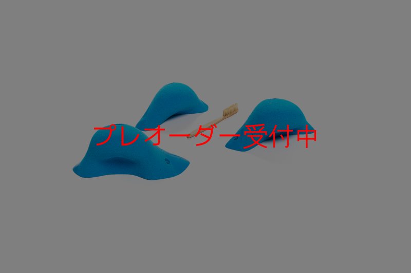 画像7: CT Boomerang Inuit L1/プレオーダー (7)