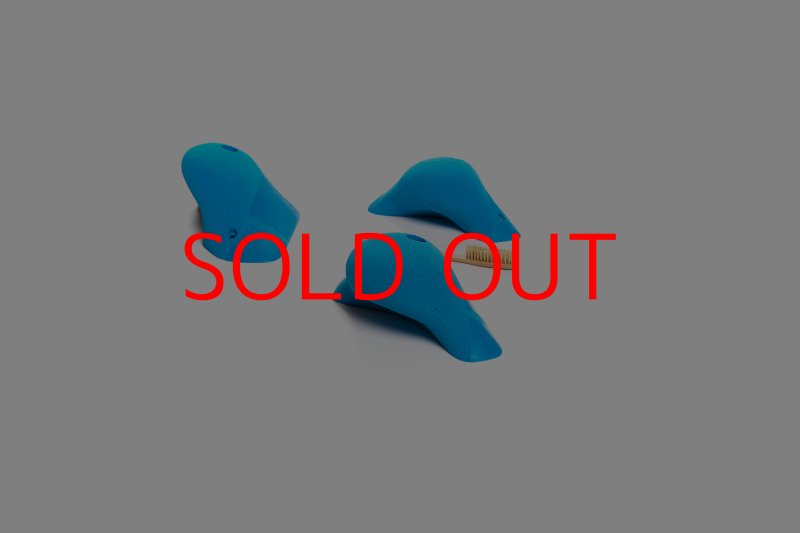 画像2: CT Boomerang Inuit L1 (2)