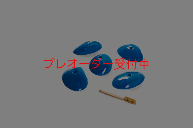 画像6: CT Shape Rider Sunside?4 L/プレオーダー (6)
