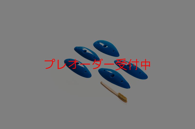 画像6: CT Shape Rider Sunside 7 XL/プレオーダー (6)