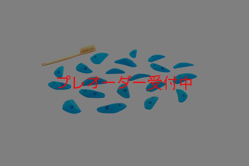 画像6: CT Boomerang Sydney XS1/プレオーダー (6)