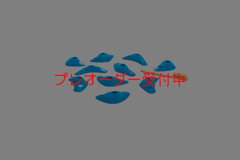 画像4: CT Boomerang Inertia/プレオーダー (4)