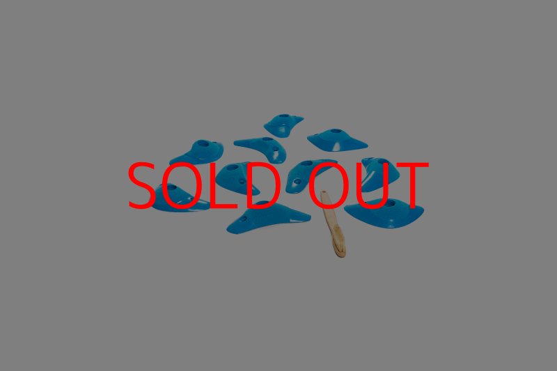 画像5: CT Boomerang Inertia (5)