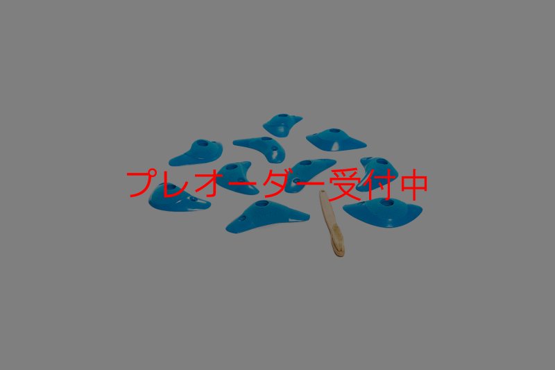 画像5: CT Boomerang Inertia/プレオーダー (5)