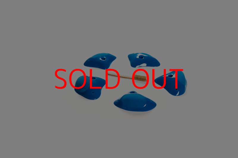 画像6: CT Shape Rider Sunside?9 XL (6)