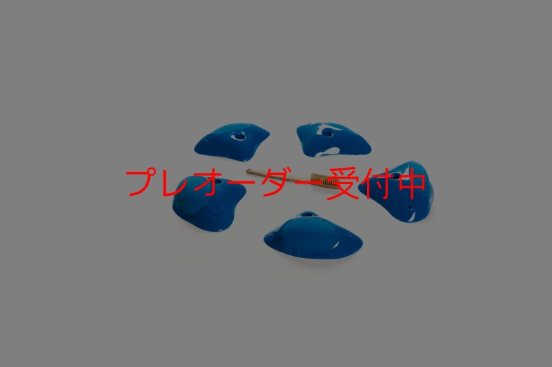 画像6: CT Shape Rider Sunside?9 XL/プレオーダー (6)