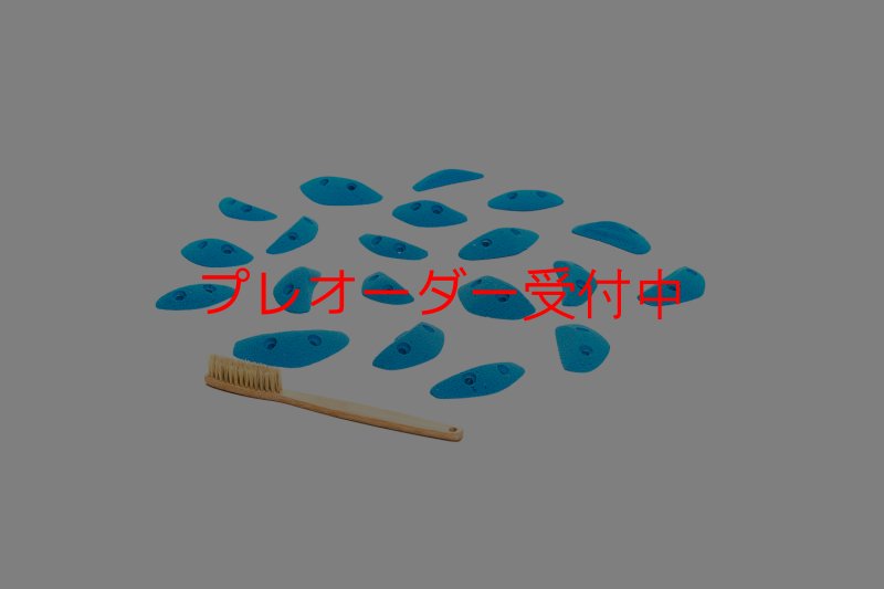 画像4: CT Boomerang Sydney XS1/プレオーダー (4)