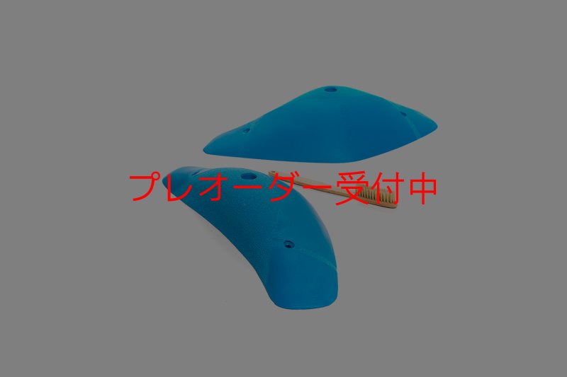 画像3: CT Boomerang Arbor XL2/プレオーダー (3)