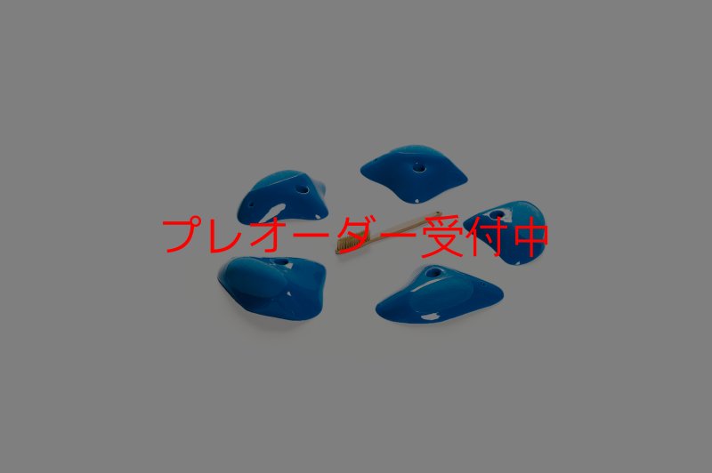 画像1: CT Shape Rider Sunside?9 XL/プレオーダー (1)