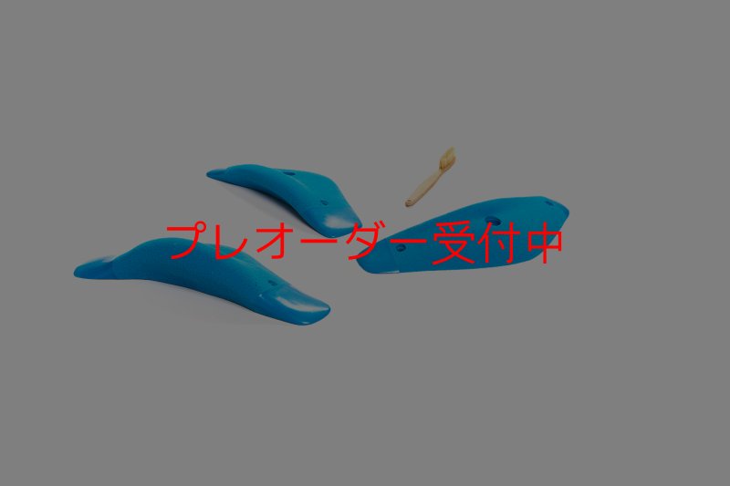 画像7: CT Boomerang Song L5/プレオーダー (7)