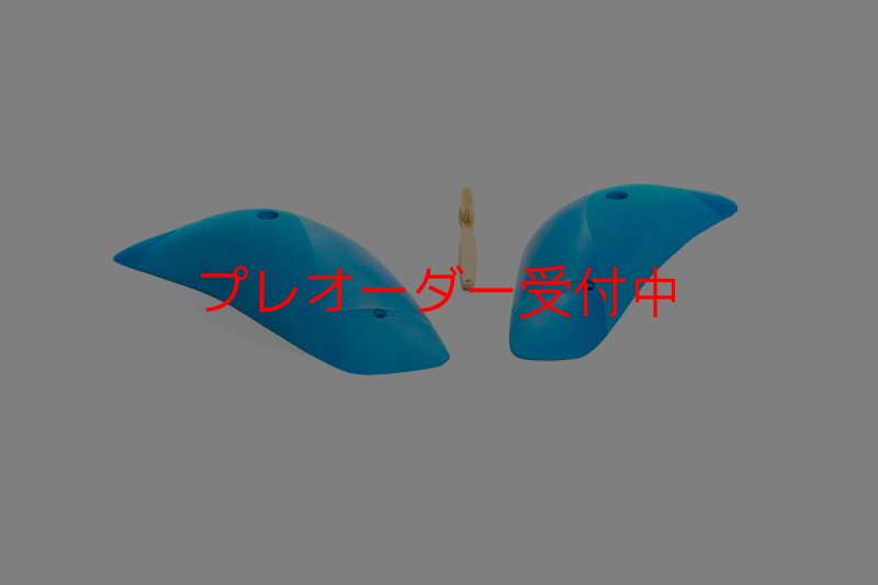 画像7: CT Boomerang Arbor XL2/プレオーダー (7)