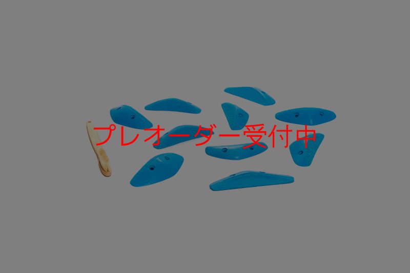 画像6: CT Boomerang Sydney XS2/プレオーダー (6)