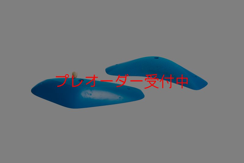 画像4: CT Boomerang Arbor XL1/プレオーダー (4)