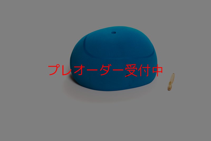 画像6: CT Shape Rider Riverside 21 MEG/プレオーダー (6)