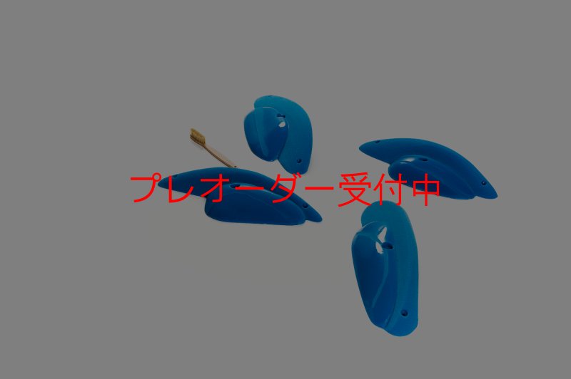 画像3: CT Shape Rider Sunside?13 XXL/プレオーダー (3)