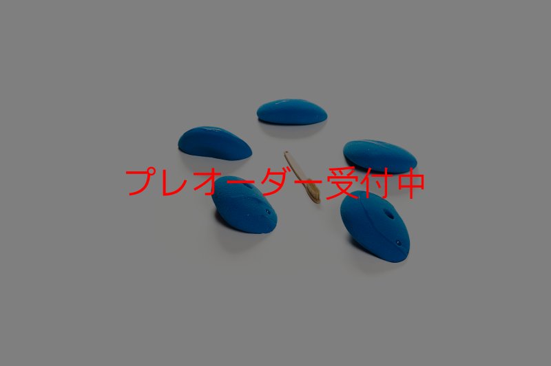 画像2: CT Shape Rider Riverside 1 M/プレオーダー (2)