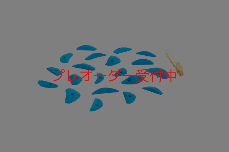 画像2: CT Boomerang Sydney XS1/プレオーダー (2)
