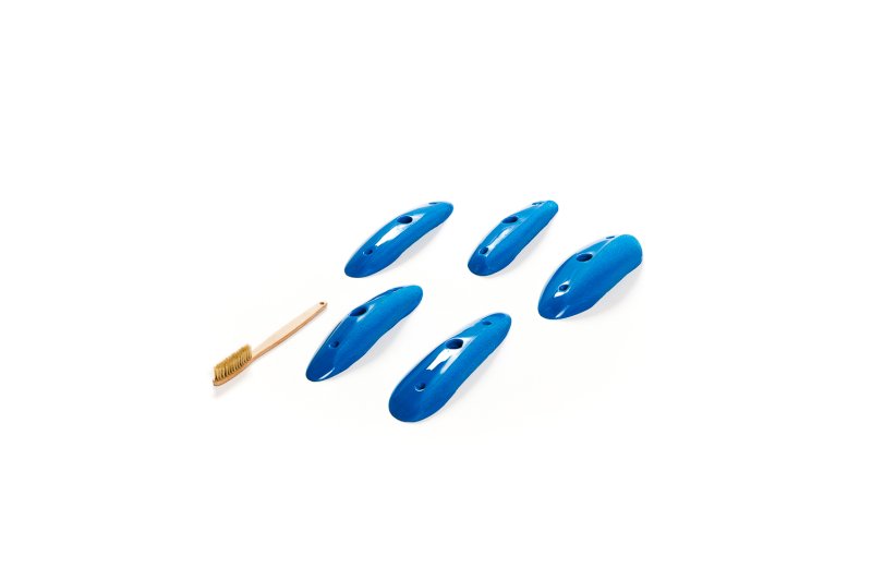 画像1: CT Shape Rider Sunside 7 XL　プレオーダー (1)