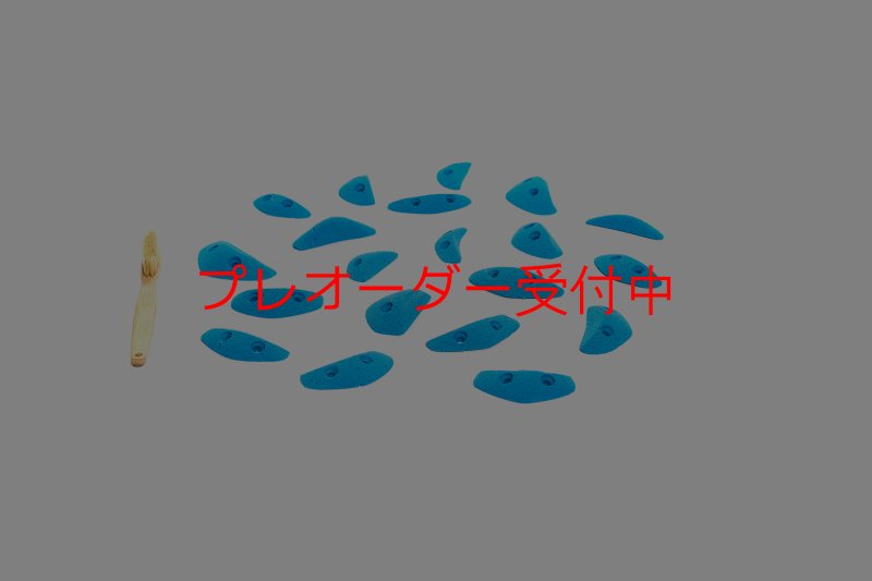 画像5: CT Boomerang Sydney XS1/プレオーダー (5)