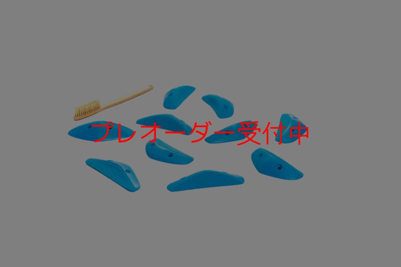 画像7: CT Boomerang Sydney XS2/プレオーダー (7)