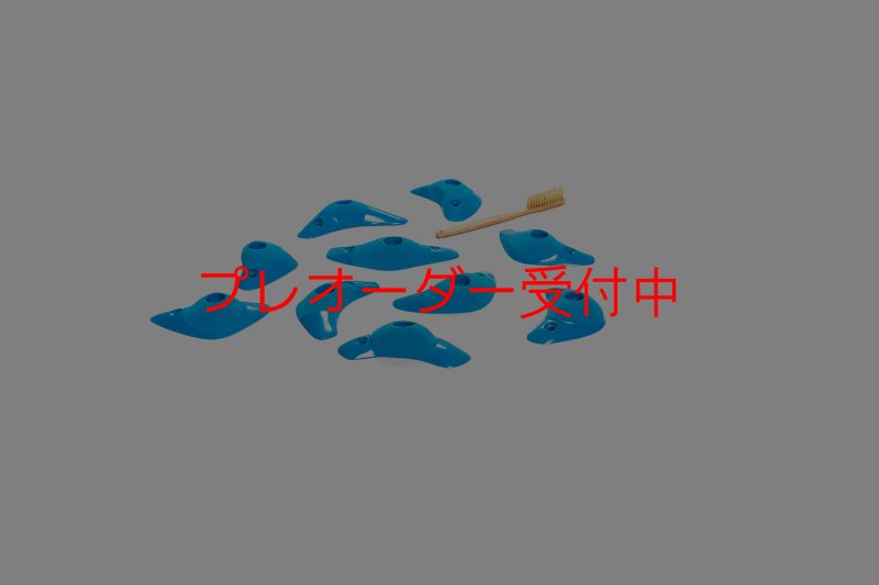 画像3: CT Boomerang Inertia/プレオーダー (3)
