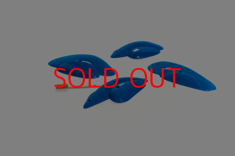 画像2: CT Shape Rider Sunside?13 XXL (2)