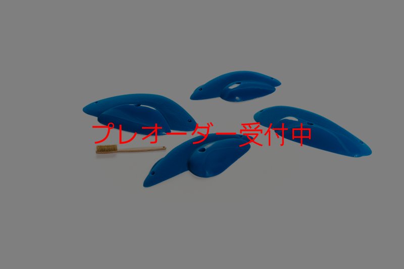 画像2: CT Shape Rider Sunside?13 XXL/プレオーダー (2)