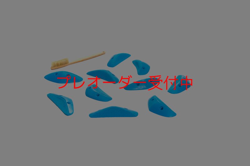 画像1: CT Boomerang Sydney XS2/プレオーダー (1)