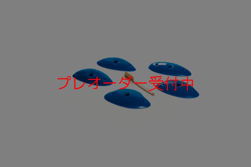 画像5: CT Shape Rider Sunside?3 L/プレオーダー (5)