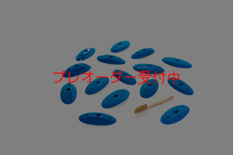 画像1: CT Shape Rider Riverside 6 M/プレオーダー (1)